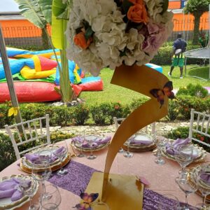 20250329_114715 (FILEminimizer)