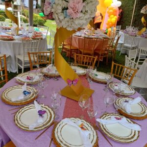 20250329_114730 (FILEminimizer)