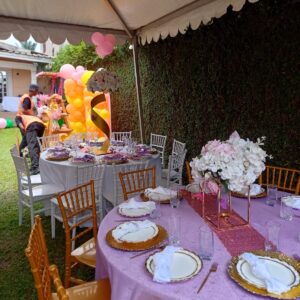 20250329_114804 (FILEminimizer)