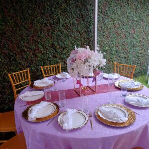 20250329_114944 (FILEminimizer)