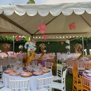 20250329_115012 (FILEminimizer)