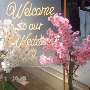 20250523_135122 (FILEminimizer)