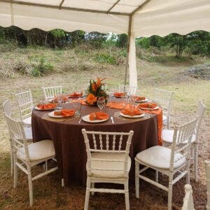 20250628_112231 (FILEminimizer)